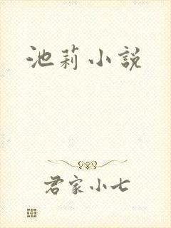 池莉小说