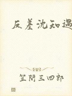 反差沈知遇晏应