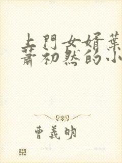 上门女婿叶辰和萧初然的小说最新章节