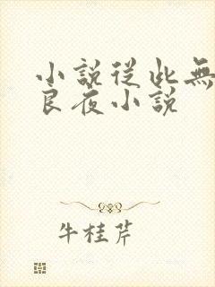 小说从此无心爱良夜小说