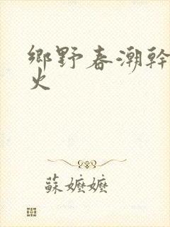 乡野春潮干柴烈火封面
