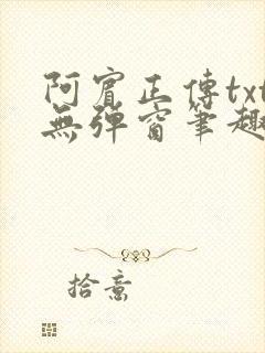 阿宾正传txt无弹窗笔趣阁