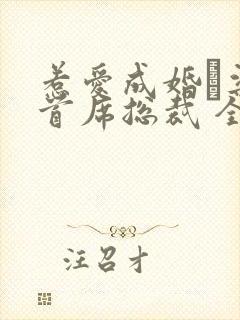 惹爱成婚·染指首席总裁 全文阅读
