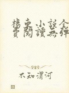 杨东小说全文免费阅读无弹窗封面