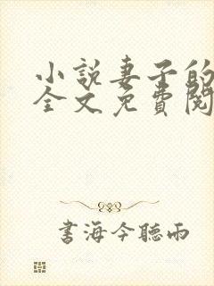 小说妻子的秘密全文免费阅读