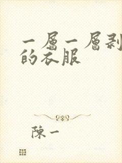 一层一层剥开我的衣服