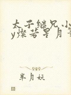 太子继兄小说by灿若星月笔趣阁