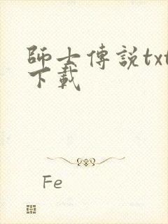 师士传说txt下载