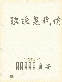 玫瑰是我偷的封面