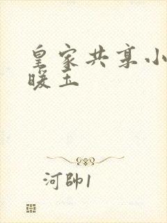 皇家共享小公主暖玉