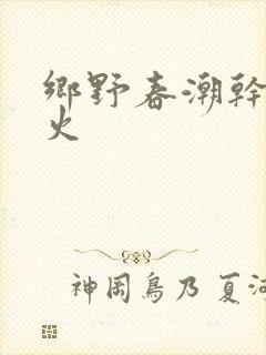 乡野春潮干柴烈火封面