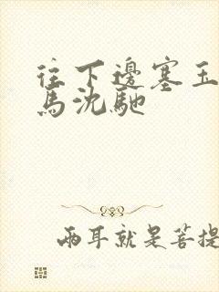 往下边塞玉器骑马沈驰封面