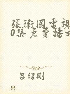 张卫国电视剧40集免费播放