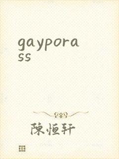 gayporass封面