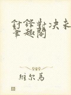 针锋对决未删减笔趣阁封面