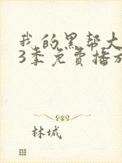 我的黑帮大佬第3季免费播放在线观看