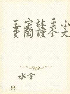 王宇林柔小说免费阅读全文最新章节