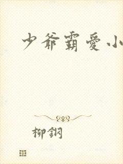 少爷霸爱小丫头封面