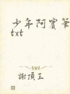 少年阿宾笔趣阁txt
