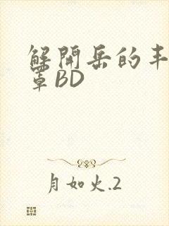 解开岳的丰满奶罩BD