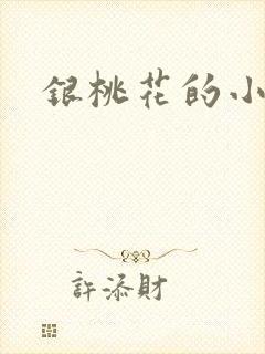 银桃花的小说