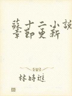 苏十二小说最新章节更新