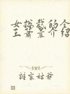 女总裁的全能兵王萧晨介绍