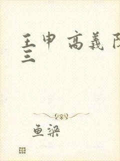 王申 高义 陈三封面