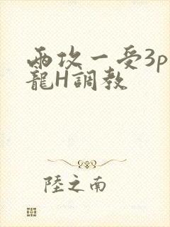 两攻一受3p双龙H调教