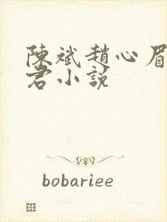 陈斌赵心眉高婉君小说