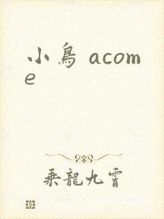 小鸟 acome