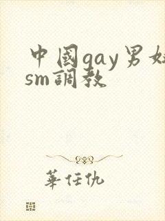 中国gay男奴sm调教封面