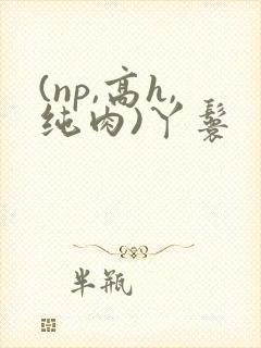 (np,高h,纯肉)丫鬟
