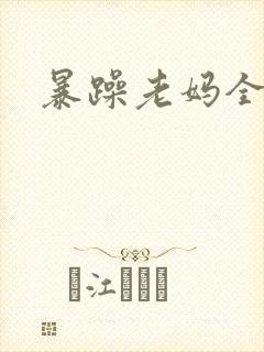 暴躁老妈全集封面