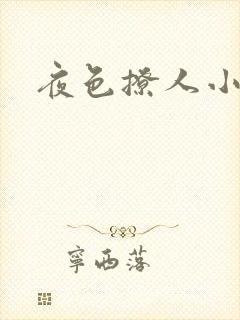 夜色撩人小说