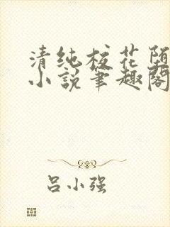 清纯校花堕落记小说笔趣阁下载