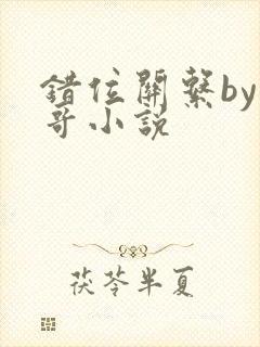 错位关系by东哥小说封面