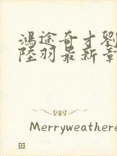 鸿途奇才刘云峰陆羽最新章节