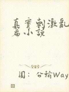 真实刺激乱13篇小说