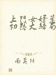 上门女婿叶辰萧初然大结局