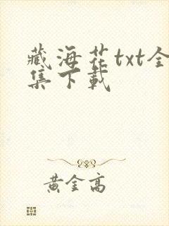 藏海花txt全集下载