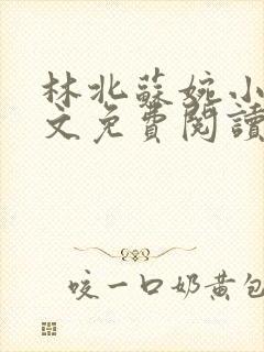 林北苏婉小说全文免费阅读最新章节