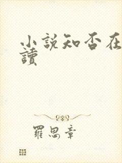 小说知否在线阅读