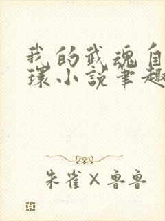 我的武魂自带魂环小说笔趣阁