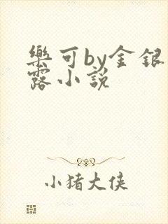 乐可by金银花露小说封面