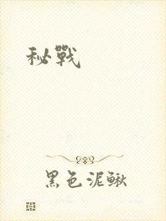 秘战