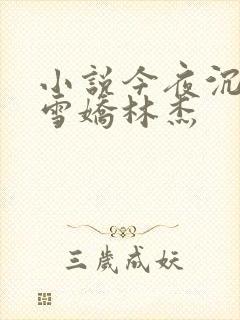 小说今夜沉醉段雪娇林杰封面