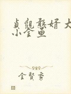 贞观憨婿 大眼小金鱼封面