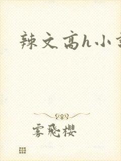 辣文高h小说封面