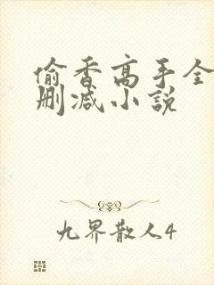 偷香高手全文无删减小说